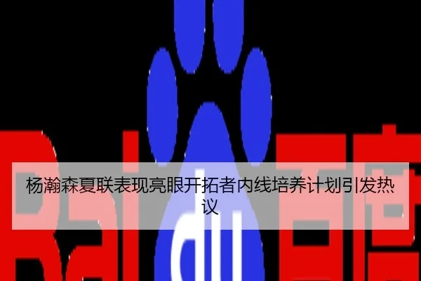 杨瀚森夏联表现亮眼开拓者内线培养计划引发热议
