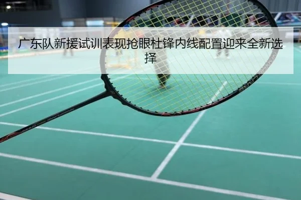 广东队新援试训表现抢眼杜锋内线配置迎来全新选择