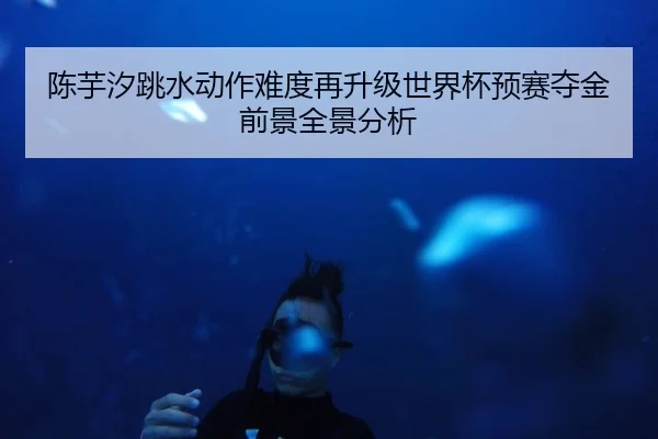 陈芋汐跳水动作难度再升级世界杯预赛夺金前景全景分析