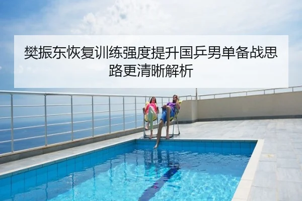 樊振东恢复训练强度提升国乒男单备战思路更清晰解析